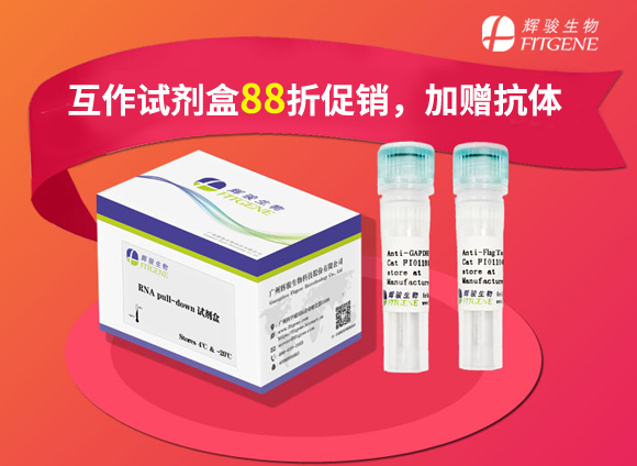 開學大促 | 互作試劑盒限時88折，再送抗體！